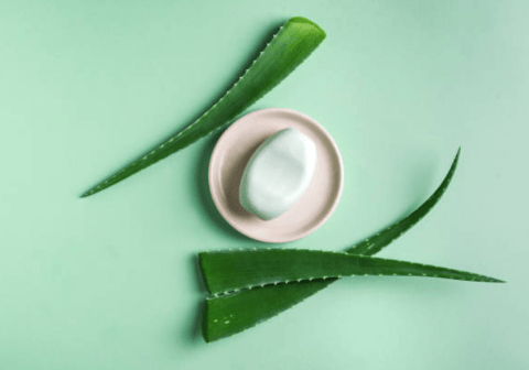 staboherbs herbal shop in Raipur